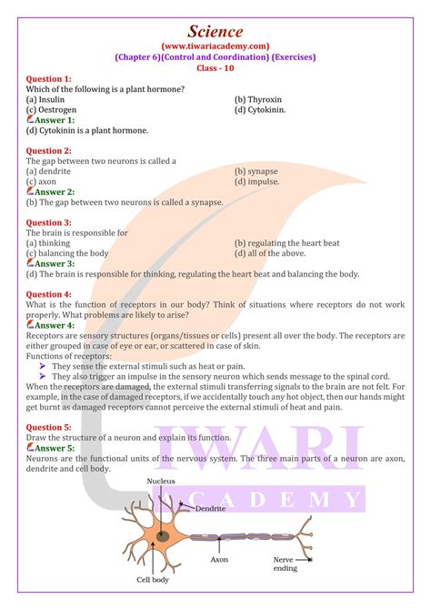 www.mkrgreenboard.com class 10|class 10 science ch 6.